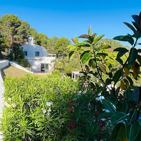 La Solana *